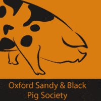Oxford Sandy and Black Pigs Logo